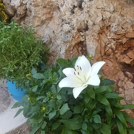 Ξενοδοχείο με διαμερίσματα παλατάκι 3*