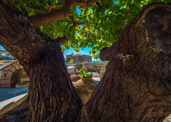 Palataki Lejlighedshotel